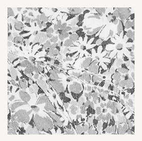 Zwart/witte afbeelding van een Emblematische Liberty-print